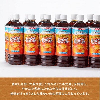 伊藤園　健康ミネラル むぎ茶650ml×24本PET(川南町)