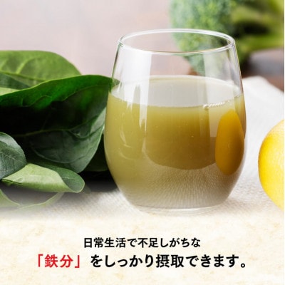 伊藤園の充実野菜 緑の野菜ミックス(紙パック)200ml×24本(川南町)