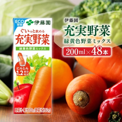 伊藤園の充実野菜 緑黄色野菜ミックス(紙パック)200ml×48本(川南町)