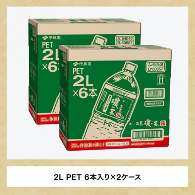 【毎月定期便】お～いお茶 濃い茶 2L×6本×2ケース(川南町)全3回