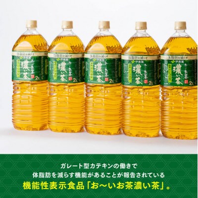【毎月定期便】お～いお茶 濃い茶 2L×6本×2ケース(川南町)全6回