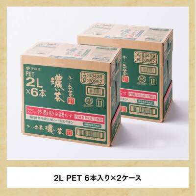 【毎月定期便】お～いお茶 濃い茶 2L×6本×2ケース(川南町)全6回