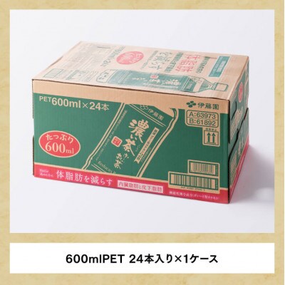 【毎月定期便】伊藤園 お～いお茶 濃い茶600ml×24本(川南町)全9回