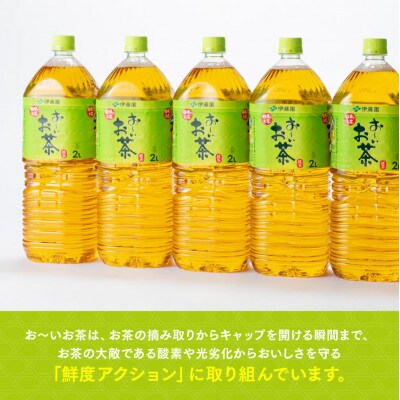 【毎月定期便】お～いお茶 緑茶 2L×6本×2ケース(川南町)全9回