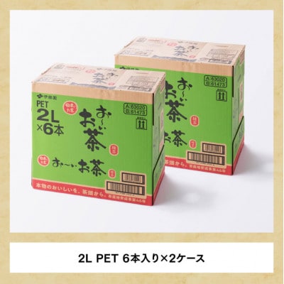 【毎月定期便】お～いお茶 緑茶 2L×6本×2ケース(川南町)全9回