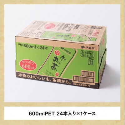 【毎月定期便】お～いお茶 緑茶600ml×24本(川南町)全6回