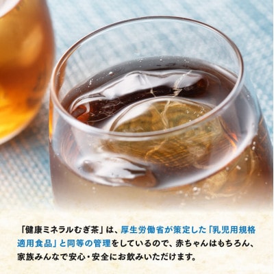 【毎月定期便】健康ミネラル むぎ茶 カフェインゼロ650ml×24本(川南町)全3回