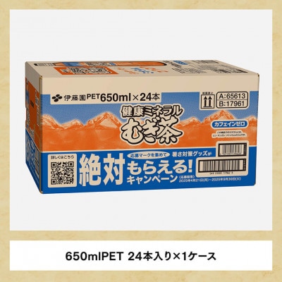 【毎月定期便】健康ミネラル むぎ茶 カフェインゼロ650ml×24本(川南町)全3回