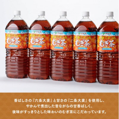 【毎月定期便】健康ミネラル むぎ茶 カフェインゼロ 2L×6本×2ケース(川南町)全6回