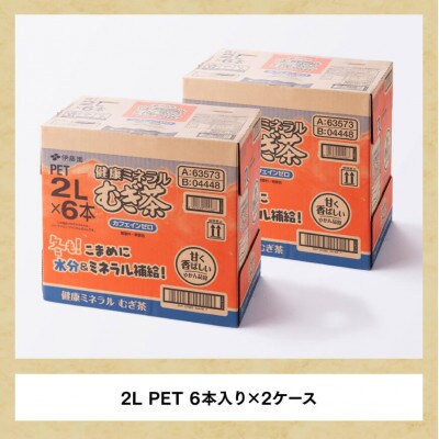 【毎月定期便】健康ミネラル むぎ茶 カフェインゼロ 2L×6本×2ケース(川南町)全6回
