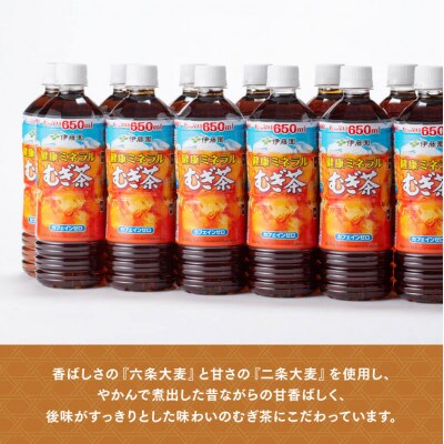 【毎月定期便】健康ミネラル むぎ茶 カフェインゼロ650ml×24本(川南町)全6回