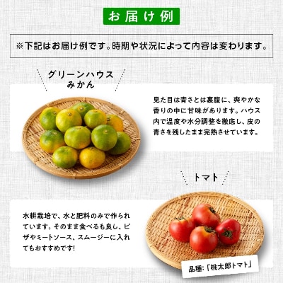産直おすず村厳選!野菜の詰め合わせセット(大)