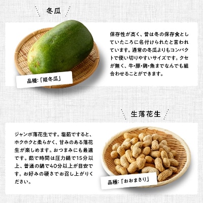 産直おすず村厳選!野菜の詰め合わせセット(大)