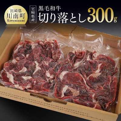 宮崎県産黒毛和牛 切り落とし 150g×2