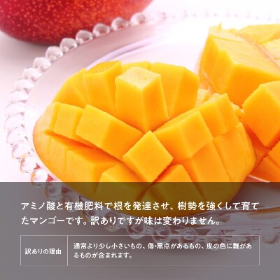 訳あり ご自宅用宮崎県完熟マンゴー2玉 お礼品詳細 ふるさと納税なら さとふる