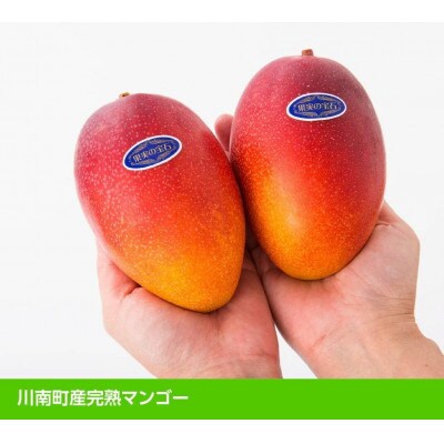 【令和7年発送】宮崎県産完熟マンゴー「果実の宝石」　2L×2玉