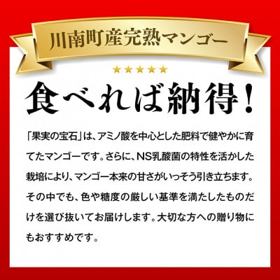 【令和8年発送】宮崎県産完熟マンゴー「果実の宝石」　プレミアム 2L×2玉