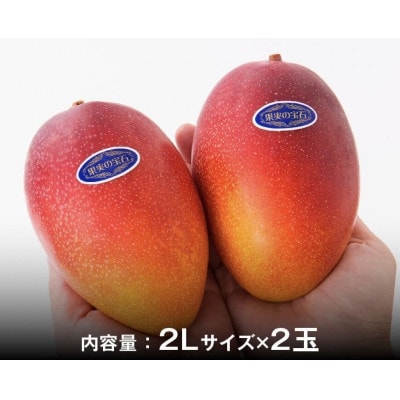 【令和8年発送】宮崎県産完熟マンゴー「果実の宝石」　プレミアム 2L×2玉