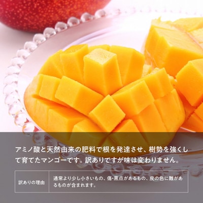 【令和8年発送】【訳あり】宮崎県産完熟マンゴー(ご自宅用)　完熟マンゴー3玉