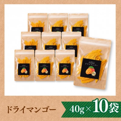 宮崎県産完熟マンゴー(果実の宝石)　ドライマンゴー40g×10袋
