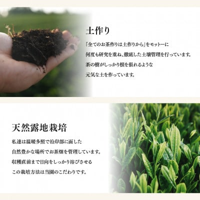 お茶の大塚園こだわりセット(緑茶TB、タグ付緑茶TB、ほうじ茶TB、玄米茶TB)