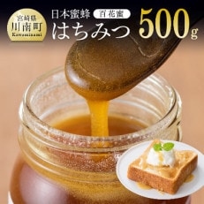 日本みつばちで採蜜した純粋はちみつ(百花蜜)500g