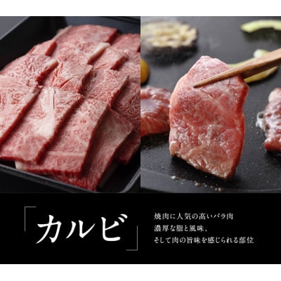 最高賞内閣総理大臣賞受賞!!宮崎牛焼肉セット(肩ロース・バラ) 1.3kg(川南町)