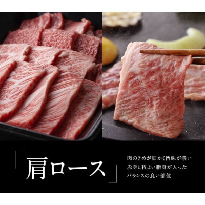 最高賞内閣総理大臣賞受賞!!宮崎牛焼肉セット(肩ロース・バラ) 1.3kg(川南町)
