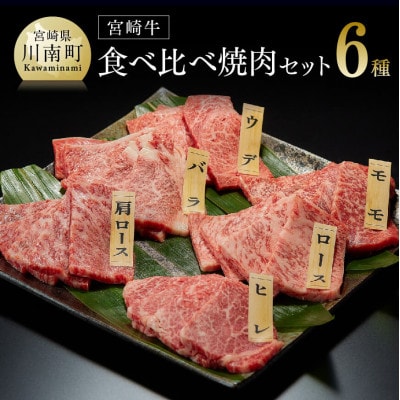 最高賞内閣総理大臣賞受賞!!宮崎牛焼肉 6種食べ比べセット(川南町)