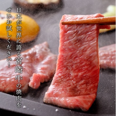 最高賞内閣総理大臣賞受賞!!宮崎牛焼肉 6種食べ比べセット(川南町)