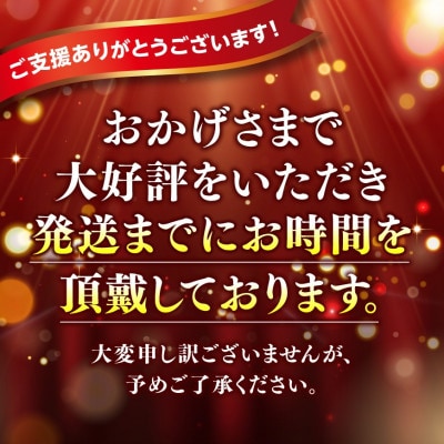 ヒルナンデスで紹介!宮崎県産豚肉6種 4.1㎏(川南町)