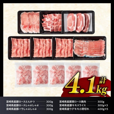 ヒルナンデスで紹介!宮崎県産豚肉6種 4.1㎏(川南町)