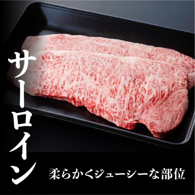 最高賞内閣総理大臣賞受賞!!5等級! 宮崎牛サーロインステーキ 400g(川南町)