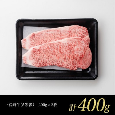 最高賞内閣総理大臣賞受賞!!5等級! 宮崎牛サーロインステーキ 400g(川南町)