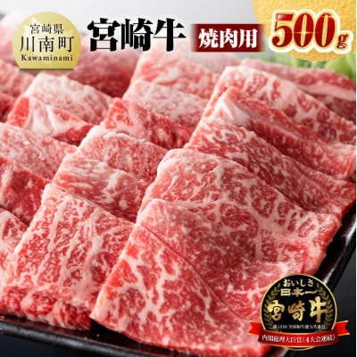 宮崎牛 焼肉用 500g(川南町)