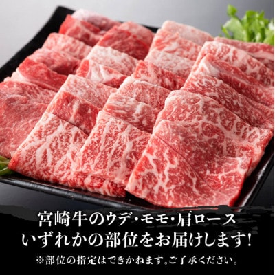 宮崎牛 焼肉用 500g(川南町)