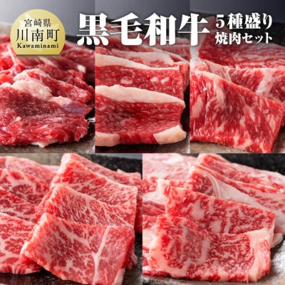 黒毛和牛5種盛り 焼肉セット 300g(川南町)