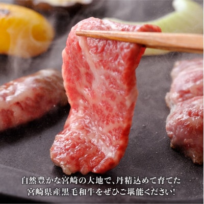 黒毛和牛5種盛り 焼肉セット 300g(川南町)