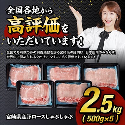 宮崎県産豚 ロースしゃぶしゃぶ2.5kg(500g×4+期間限定500g)(川南町)
