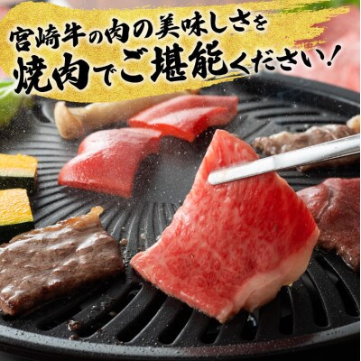 宮崎牛 赤身(ウデorモモ)焼肉500g+粗挽きウインナー(川南町)