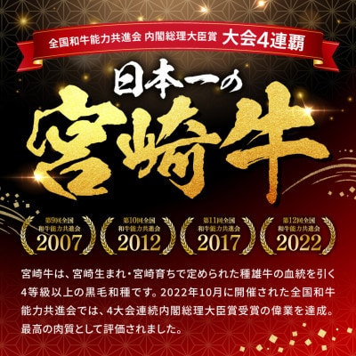 宮崎牛ヒレステーキ2枚240g(川南町)
