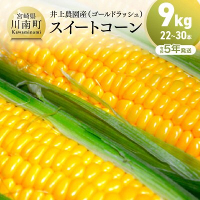 数量限定【令和5年発送】井上農園のスイートコーン (ゴールドラッシュ) 9kg