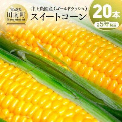 数量限定【令和5年発送】井上農園のスイートコーン(ゴールドラッシュ)20本
