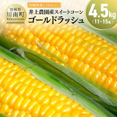 【令和8年発送】宮崎県産とうもろこし 井上農園産スイートコーン(ゴールドラッシュ)4.5kg