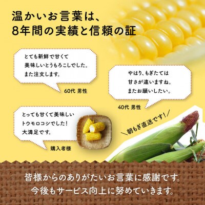 【令和8年発送】宮崎県産とうもろこし 井上農園産スイートコーン(ゴールドラッシュ)4.5kg