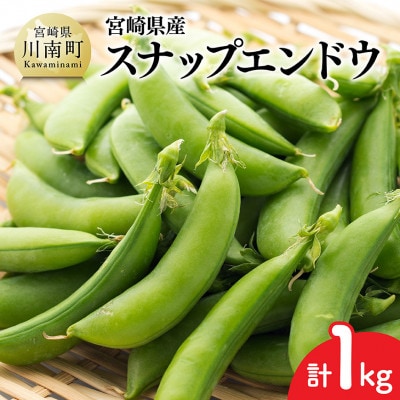 【令和8年発送】宮崎県産 スナップエンドウ1.0kg