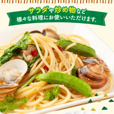 【令和8年発送】宮崎県産 スナップエンドウ1.0kg