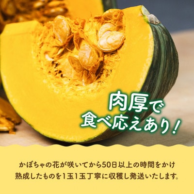 【令和8年発送】宮崎県産 スイートかぼちゃ1玉(約2kg)
