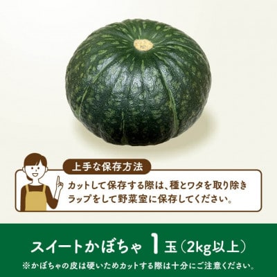 【令和8年発送】宮崎県産 スイートかぼちゃ1玉(約2kg)