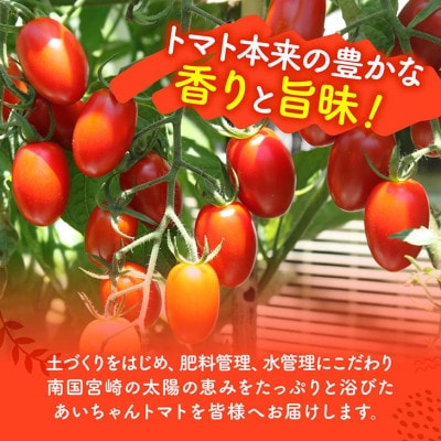【令和8年発送】宮崎県産 あいこトマト1.5kg&スナップエンドウ1kg